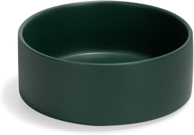 SPUNKYJUNKY 13.5OZ Ceramic Dog and Cat Bowl, Modern Cute Weighted Food Water Bowl for Replacement Green (1 Pack)