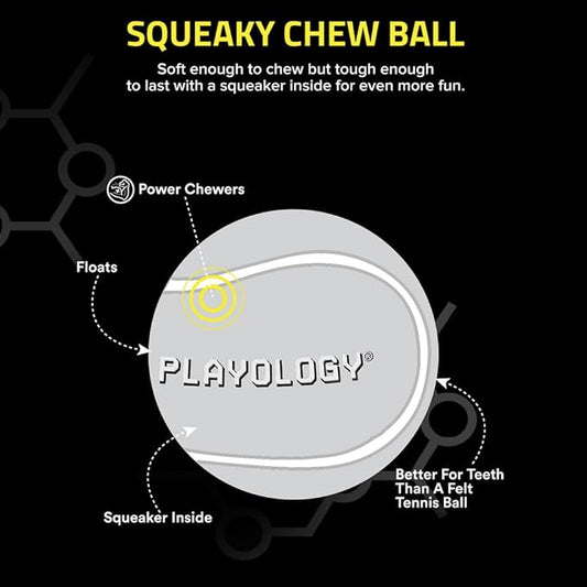 Playology Dog Toys | Squeaky Chew Ball - Squeaky and Bouncy Durable Floating Fetch Ball for Dogs (Value 2-Pack) | Medium Peanut Butter Scented Toy - Easy to Clean and Made from Non Toxic Materials