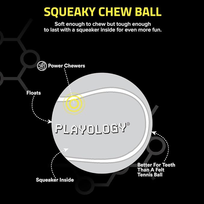 Playology Dog Toys | Squeaky Chew Ball - Squeaky and Bouncy Durable Floating Fetch Ball for Dogs (Value 2-Pack) | Medium Chicken Scented Toy - Easy to Clean and Made from Non Toxic Materials