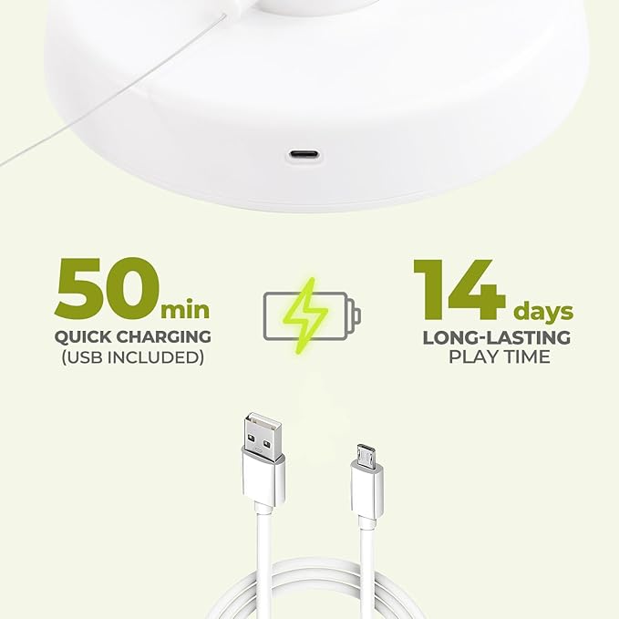 ALL FOR PAWS 2 in 1 Cat Wand Toy - Hide-N-Seek & Flutter with Butterfly Spinner & Moving Feather for Indoor Cats