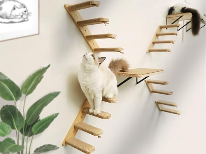 Cat Wall Shelves Stairs Cat Wall Furniture Mounted, 2PCS Cat Shelves & 2PCS 4 Steps Wall Climbing Shelves Scratching Perches for Sleeping, Playing, Climbing