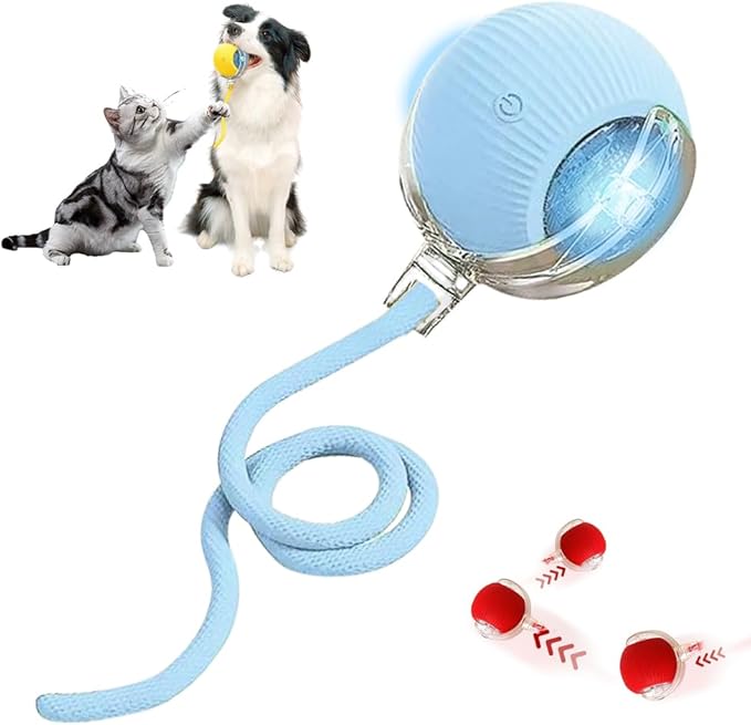 Interactive Cat Toy Balls, Cat Toys for Bored Indoor Adult Cats Peppy Pet Ball for Cats (Blue)