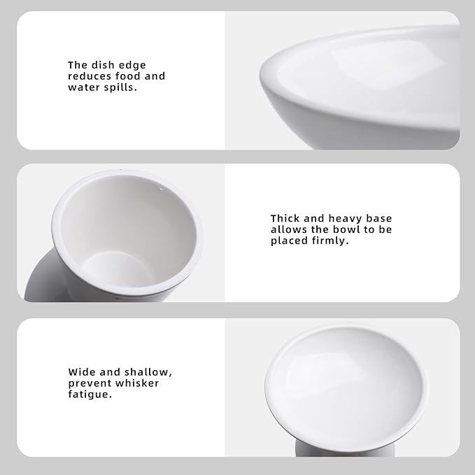 6.2 Inch Extra Wide Elevated Ceramic Cat Bowls, Food and Water Bowl Set for Elder Big Cats Small Dogs, Raised Design for Pet Easy Eating, Protect Cat's Spine Set of 2(White)