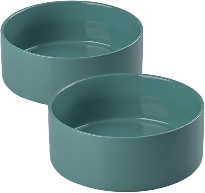 SPUNKYJUNKY 13.5OZ Ceramic Dog and Cat Bowl, Modern Cute Weighted Food Water Bowl for Replacement Light Green (2 Pack)