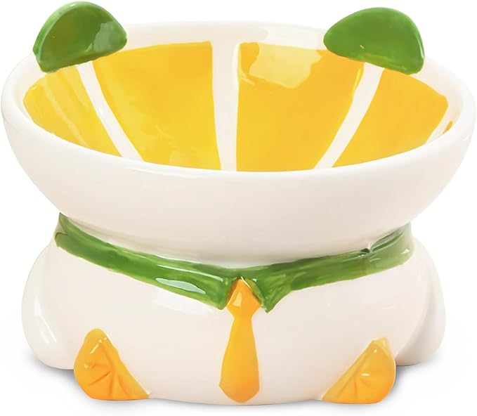 Kathson Ceramic Elevated Cat Bowl, 15 Tilted with Stand - Lemon Shaped, Anti Vomiting, Small Cat Bowl