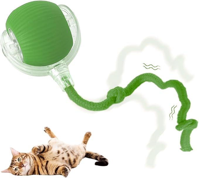 Interactive Cat Toy Balls, Cat Toys for Bored Indoor Adult Cats Peppy Pet Ball for Cats (Green)