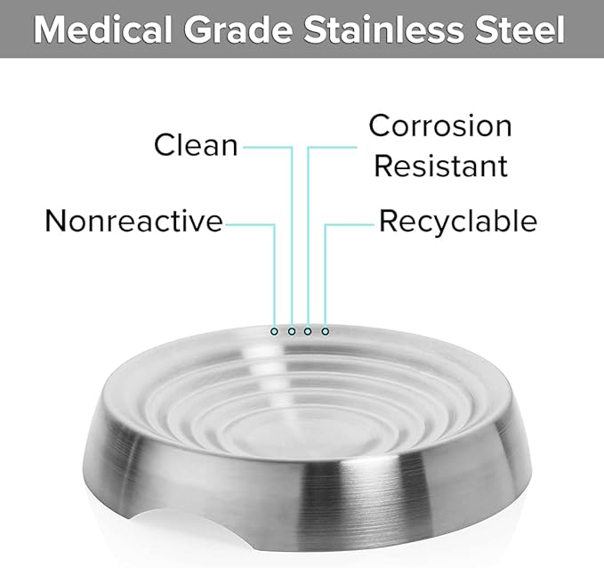 CatGuru Cat Bowls, Whisker Friendly Cat Food Bowl for Indoor Cats, Reliefs Whisker Fatigue, Wide Pet Bowl, Non Slip Pet Feeding Bowls, Shallow Kitten Dish (Stainless Steel)