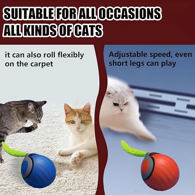 Interactive Cat Toys for Indoor Cats, Automatic Cat Toy with Tail, Electric Rolling Ball on Carpet,Cat Toys for Bored Indoor Adult Cats