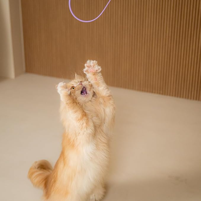 Catch Me If You Can! Silicone Cat Toy Teaser Wand – Durable, Easy-to-Clean Interactive Toy for Active Cats, Safe with Natural Predator Mimicking Movements