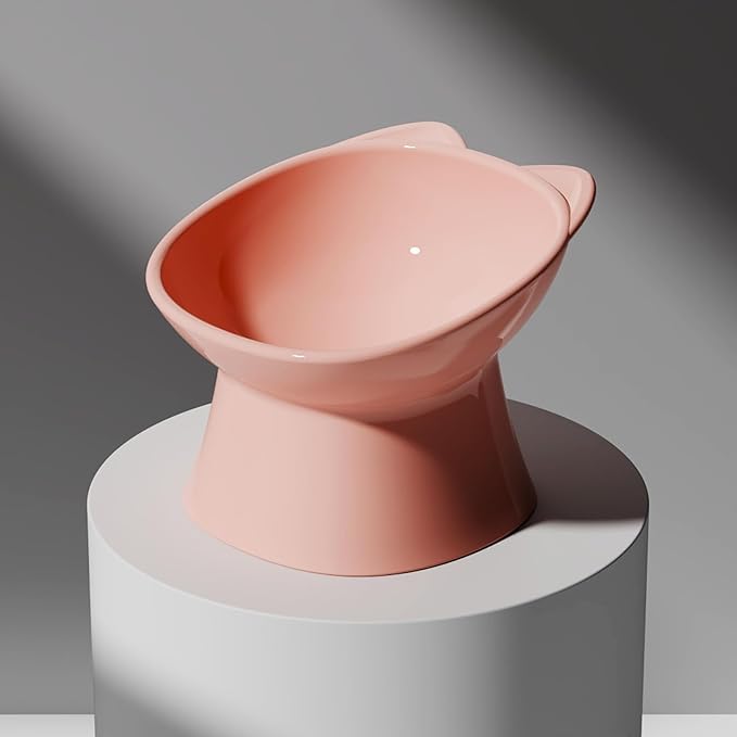 GKYZBB Elevated Cat Bowls, 15° Tilted Raised Cat Food Bowl Anti-Vomiting,Dog Kitten Food Dishes Pet for Cats and Small Dogs (Pink)