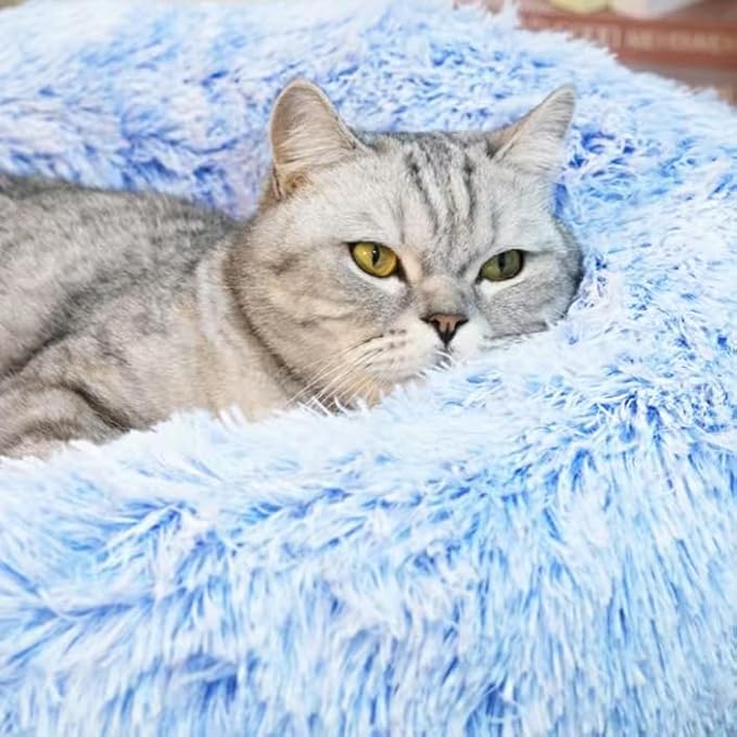 Cat Beds for Indoor Cats - Cat Bed Washable 24 inches, Dog Beds for Small Medium Dogs, Anti Anxiety Round Fluffy Plush Faux Fur Cat Bed, Thick Bottom (Cornflower Blue, Large 24" L x 24" W)