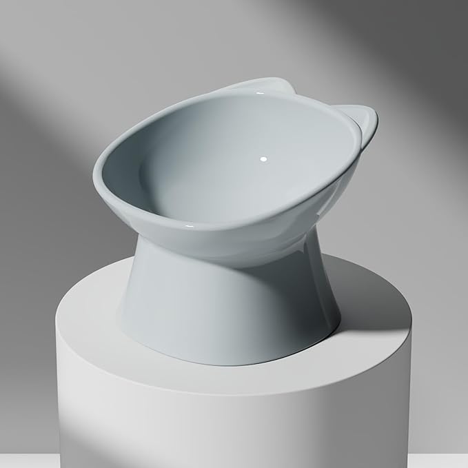 GKYZBB Elevated Cat Bowls, 15° Tilted Raised Cat Food Bowl Anti-Vomiting,Dog Kitten Food Dishes Pet for Cats and Small Dogs (Blue)