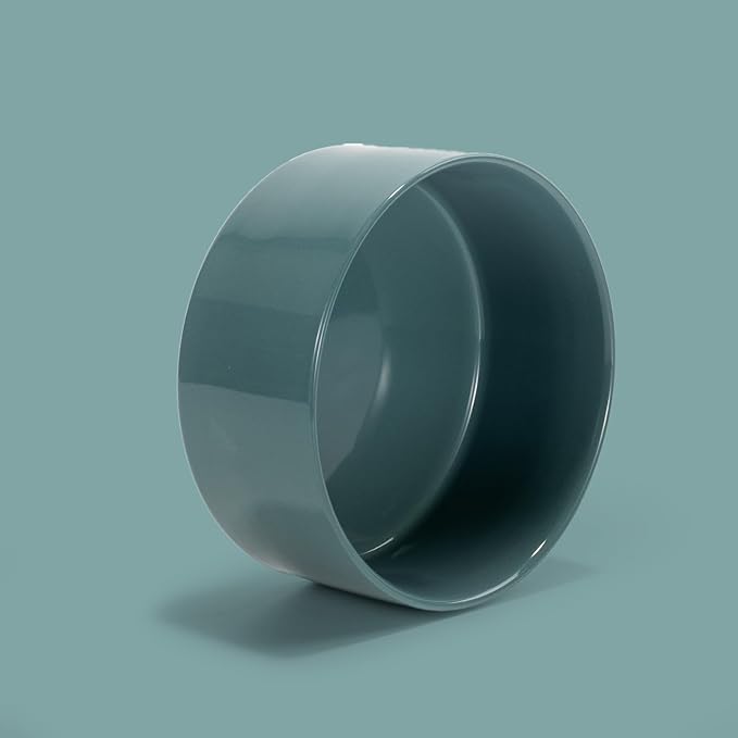 SPUNKYJUNKY 13.5OZ Ceramic Dog and Cat Bowl, Modern Cute Weighted Food Water Bowl for Replacement Light Green (2 Pack)