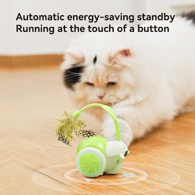 Cat Toys for Bored Indoor Adult Cats,Remote Control Cat Toy with 4 Directions,LED Lights Interactive Remote Control Dog Toy (Green)