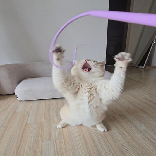 Catch Me If You Can! Silicone Cat Toy Teaser Wand – Durable, Easy-to-Clean Interactive Toy for Active Cats, Safe with Natural Predator Mimicking Movements