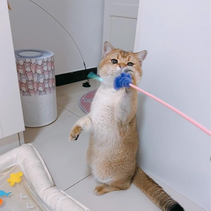 Cat Wand Toy, 4 PCS Insect Kitty Wands Colorful Cat Teaser Wands Interactive Kitten Toys with Bell