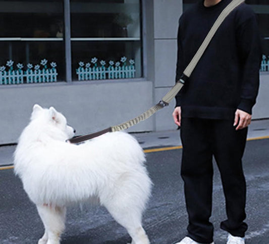 Hands Free Dog Leash for Large Medium Dogs Heavy Duty Bungee Reflective Adjustable Waist Leashes for Walking Running with Car Buckle 4-6FT (Grey)