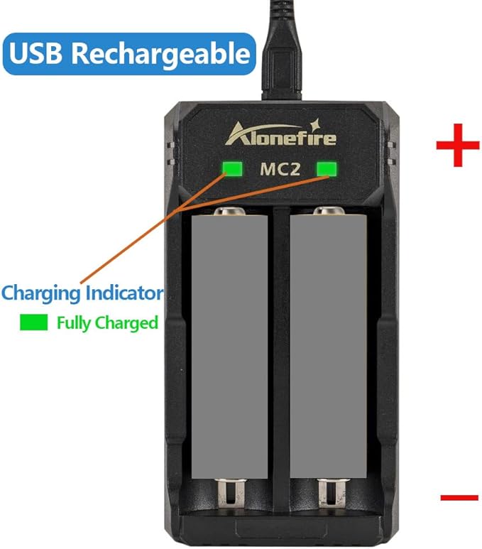 ALONEFIRE SV44 20W 365nm UV Flashlight USB Rechargeable Ultraviolet Black Light Pet Urine Detector for Resin Curing, Fishing, Scorpion, Dry Glue with UV Protective Glasses, Battery Included, Charger