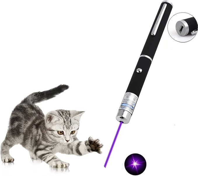 Cats Toys USB Rechargeable Pet Interactive Toys with Purple Pointer Remotes for Indoor Classroom Interactive Teaching (Purple, USB 1 Pack)