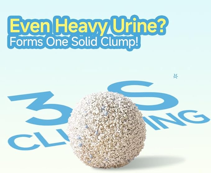 Cassava Clumping Cat Litter, Non Sticking, Rapid Clumping, Water Absorbent, Dust-Free, 5.5lb (2 Pack of 2.75lb Bags)