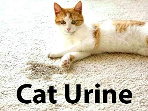 Blue Marble Stain & Odor Remover is Professional Strength, Eliminates Urine, Feces and Other Organic Stains & Stink Using Natural Enzyme Power. Great For Dogs, Cats, Pets, People and Other Accidents.