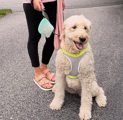 MODERN-X SnapPack Dog Treat Bag, 3-Pack Reusable Silicone Bags, Dog Treat Pouches, for Cats, Dish Washer Safe, Leakproof, Microwave & Freezer Safe, BPA-Free, Plastic Free Silicone, Multi-Color Trio