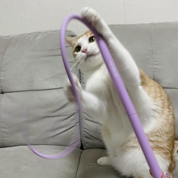 Catch Me If You Can! Silicone Cat Toy Teaser Wand – Durable, Easy-to-Clean Interactive Toy for Active Cats, Safe with Natural Predator Mimicking Movements