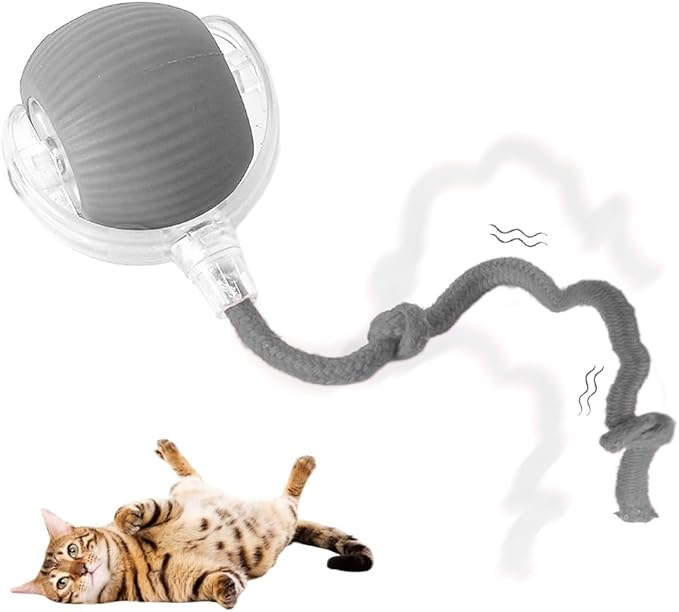 Interactive Cat Toy Balls, Cat Toys for Bored Indoor Adult Cats Peppy Pet Ball for Cats (Grey)