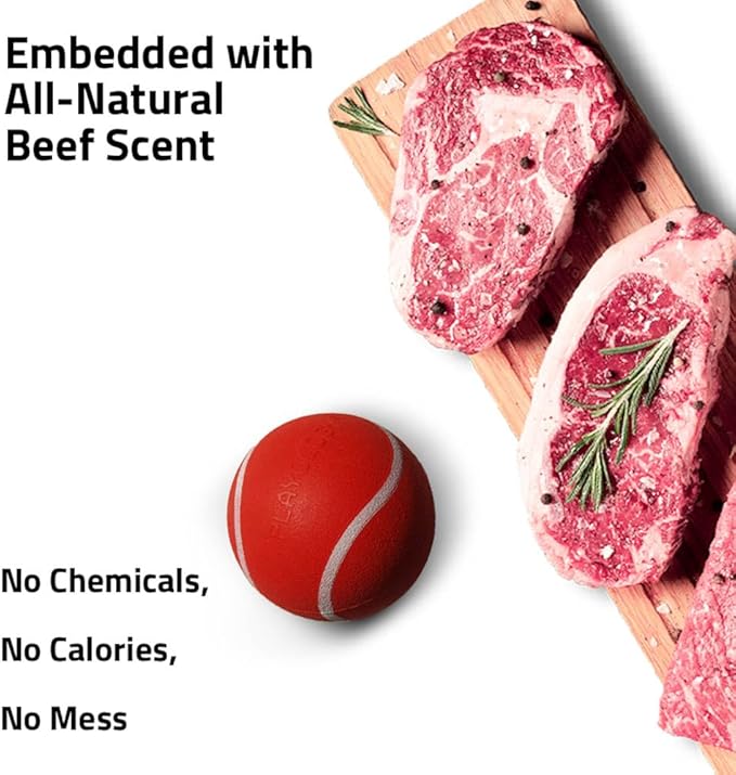 Playology Dog Toys | Squeaky Chew Ball - Squeaky and Bouncy Durable Floating Fetch Ball for Dogs (Value 2-Pack) | Medium Peanut Butter Scented Toy - Easy to Clean and Made from Non Toxic Materials