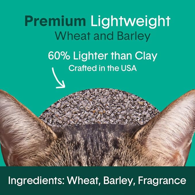 Boxie Gently Scented Cat Litter, Lightweight 30-Day Odor Control, Clumping, 11.5lb