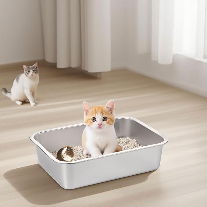 GOLDEN KEY Stainless Steel Litter Box for Kittens,Small Cat Litter Box for Kittens,15.6"×11.6"×4" Metal Litter Pan for Cat, Rabbit, Hamsters, Non Odor, Easy to Clean