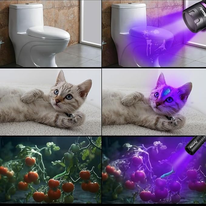 ALONEFIRE SV116 365nm UV Flashlight 60W Powerful Blacklight USB C Rechargeable Black Light for Pet Urine Detector, Scorpion, Resin, Bed Bug, Fishing with UV Protective Glasses, Rechargeable Battery