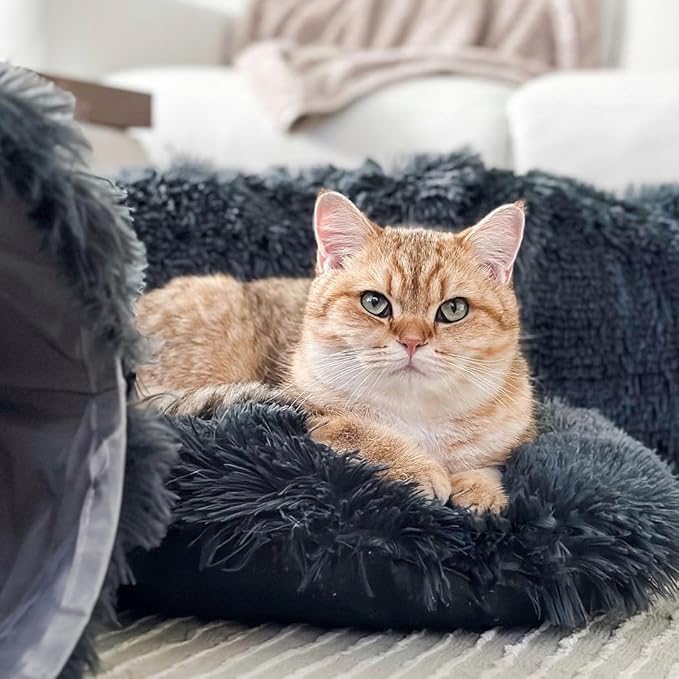 Cat Tunnels for Indoor Cats Large – Fluffy Donut Tunnel Bed with Soft Mat & Plush Toy – Peekaboo Cat Cave Bed for Napping & Play – Dark Gray, The Cat Park