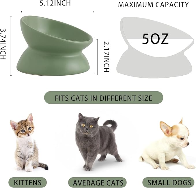 Ceramic Raised Cat Bowl, Cat Food Bowls Elevated Tilted, Ceramic Pet Bowl Whisker Friendly, Anti Vomit & Reduce Neck Burden for Food and Water (Green)