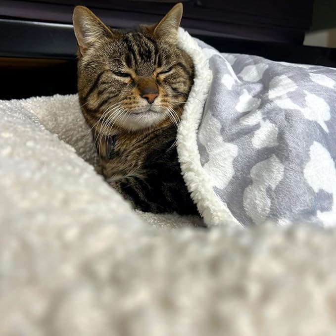 Cat Blanket for Indoor Cats – 29" Soft Sherpa Fleece Pet Throw, Washable Reversible Dog Blanket for Small Dogs, Cats, Kittens, Couch Bed Sofa Car Protector – Grey