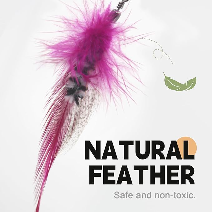 SONGWAY Cat Feather Toy Refills - 12 Pieces Insect Cat Toys with Feather, Teaser Wand Replacement, Interactive Toys for Indoor Cats