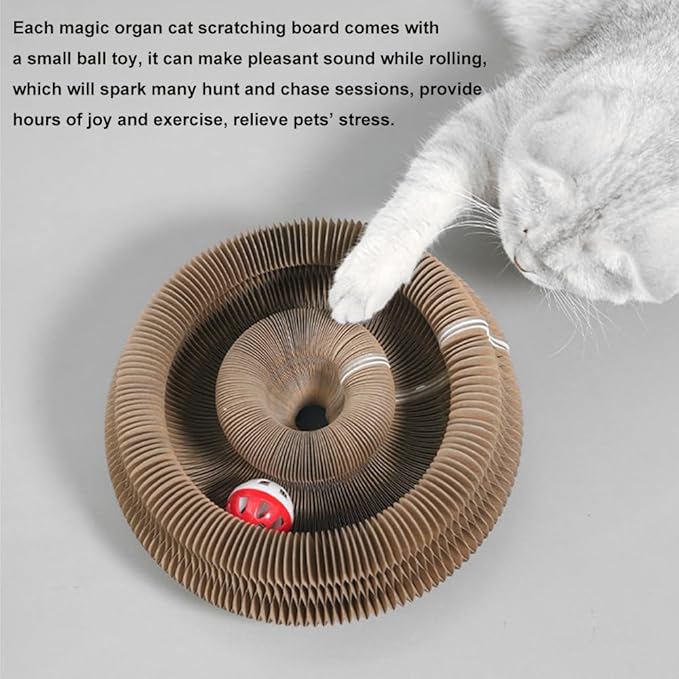 2pcs Magic Organ Cat Scratcher Board, Kitten Interactive Ball Scratching Pad Cardboard Accordion, Foldable Kitty Small Animals Scratch Post Cat Toy for Feline Physical Exercise Entertainment