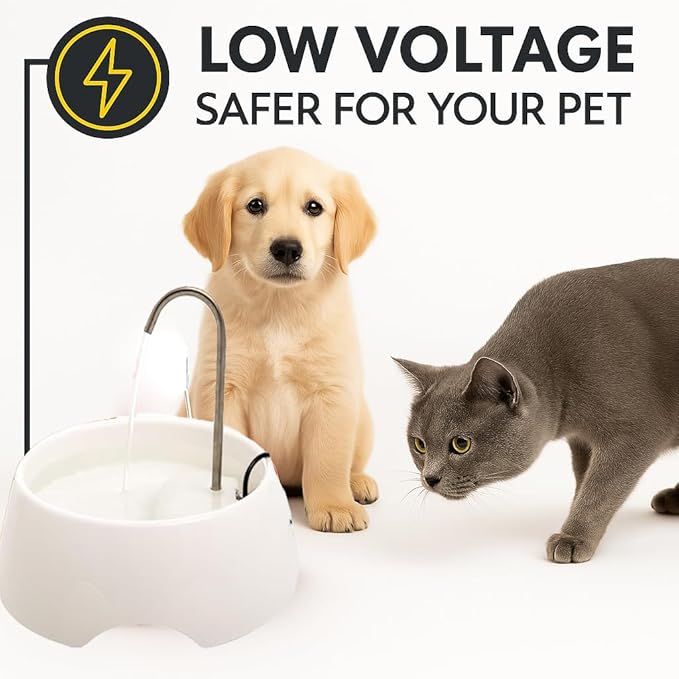 Aqua MINI Portable Pet Water Fountain - Automatic Drinking Bowl for Cats and Dogs - Stainless Steel Faucet - Replaceable Filters - Easy Cleaning - Ideal for Multiple Pets - 1.2L/42 fl oz - White