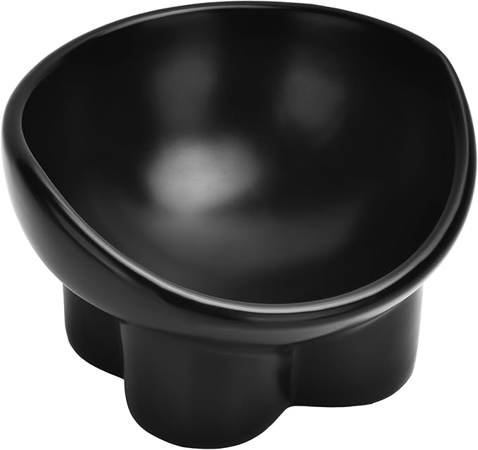 Ceramic Raised Cat Bowl,Elevated Tilted Anti Vomit Cat Bowls for Indoor Cats Whisker Friendly Pet Feeder for Food and Water,Cute Tilted Dish for Flat Faced Cats,Puppies