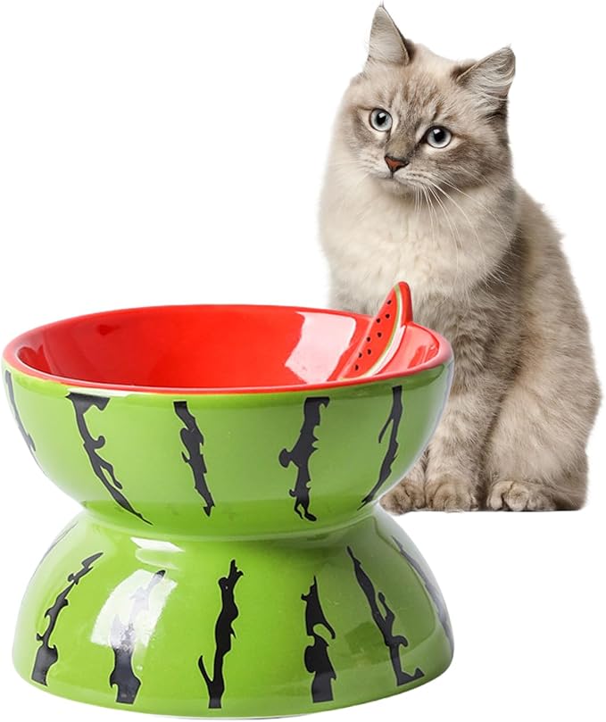 Hamiledyi Ceramic Raised Cat Bowl 5In Elevated Wide Cat Bowl for Food and Water Anti Vomiting Tilted Pet Feeder Dish for Indoor Cats and Small Dogs(Watermelon)