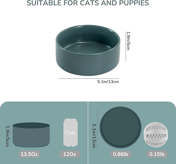 SPUNKYJUNKY 13.5OZ Ceramic Dog and Cat Bowl, Modern Cute Weighted Food Water Bowl for Replacement Light Green (2 Pack)