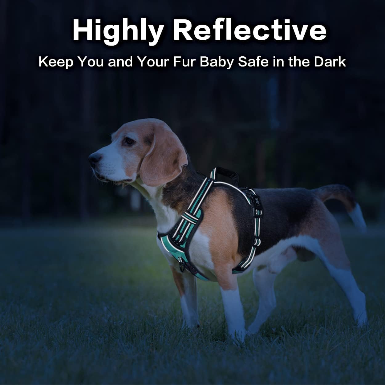 PoyPet No Pull Dog Harness, No Choke Front Clip Reflective Dog Vest with Soft Padded Vertical Handle, 3 Leash Attachments for Small Medium Large Dogs (Mint Blue,XL)