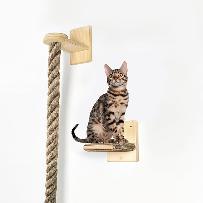 Cat Climbing Rope All-Mounted Scratching Posts Cat Tree with Climbing Rope, Large Ladder, and Resting Platform - Promotes Healthy Habits and Provides Endless Fun (Light Brown)