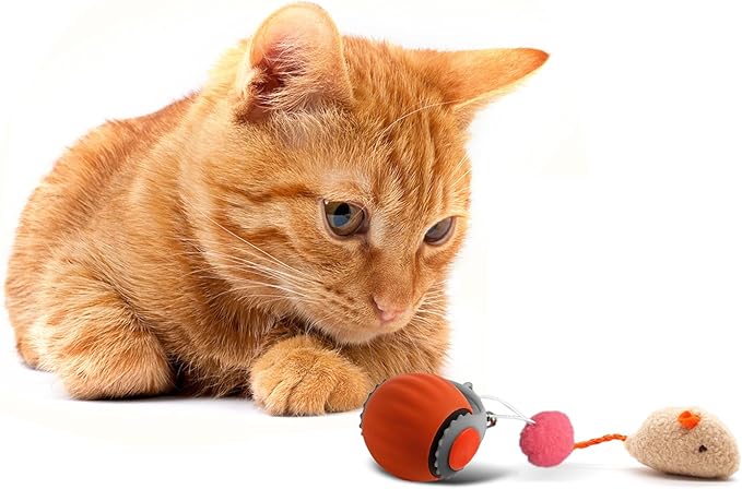 Interactive Cat Toy Ball | Automatic Moving, Mouse Tail Design and Mouse-Shaped Pendant | Rechargeable 3-Mode Rolling Toy for Indoor Kittens & Adult Cats