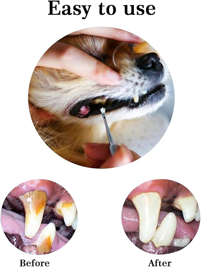 Hotop 3 Pieces Dog Dental Tooth Scaler and Scraper Stainless Double Headed Tarter Removing Tool Scraper Pet Teeth Cleaning Tools for Dog and Cat (Silver)