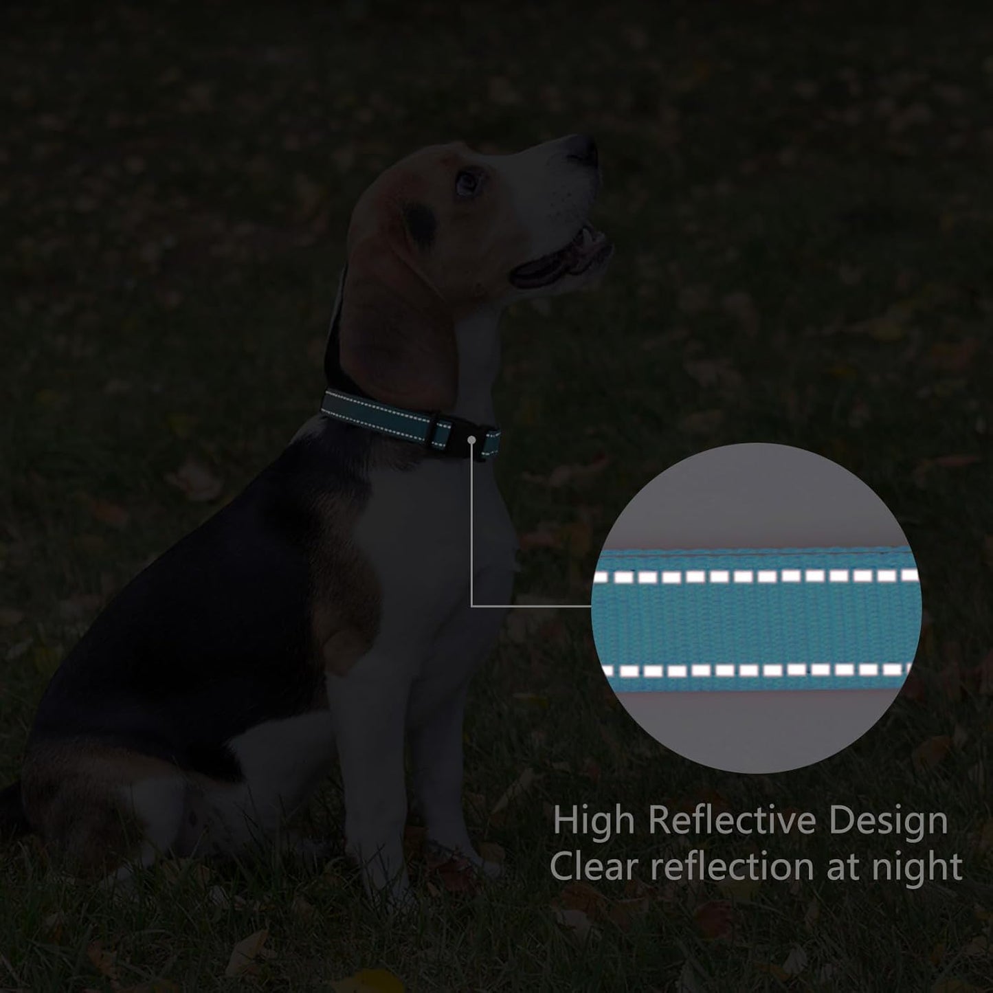 Reflective Dog Collar Padded with Soft Neoprene Breathable Quick Release Basic Dog Collars for Puppy Small Dogs Sky Blue