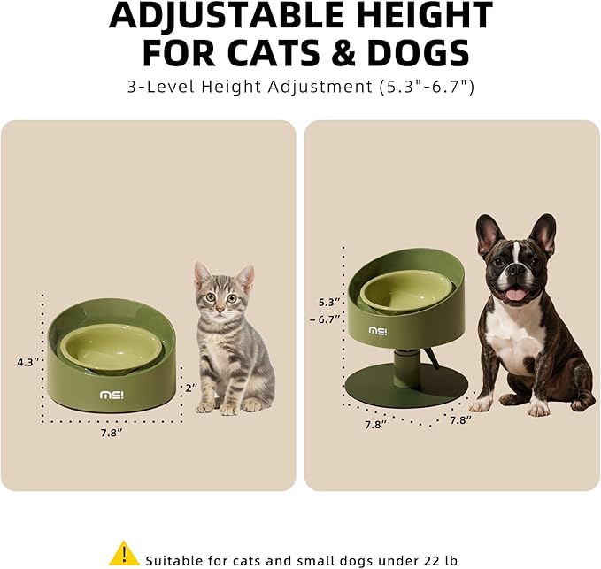 MS!MAKE SURE Adjustable Raised Cat Bowls, Ceramic Elevated Cat Bowls, Pet Bowl with Anti - Slip Rubber Pad, Leak - Proof, Lead & Cadmium Free, Whisker - Friendly, for All Life Stages of AgeGreen