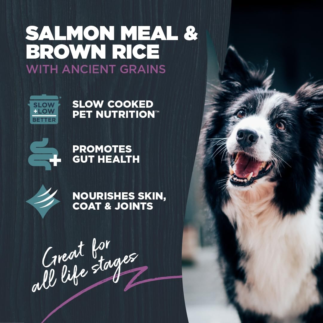 Blackwood Sensitive Skin & Stomach Dry Dog Food, Salmon Meal & Brown Rice with Ancient Grains, 24 Pound Bag with Prebiotics & Probiotics to Promote Gut Health