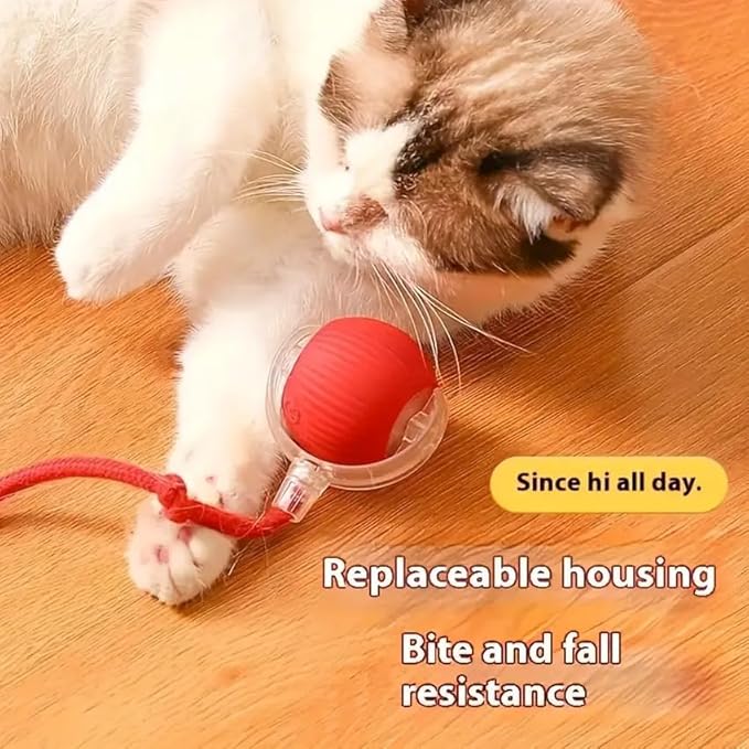 Cat Toy Ball with Tail Rope, Smart Rolling Ball, LED Light, Electric Self-Rolling Pet Toy, Interactive Cat Jumping Ball, Automatic Cat Teaser Ball, Small Dog Toy, Pet Excercise, Cat Activity (Red)