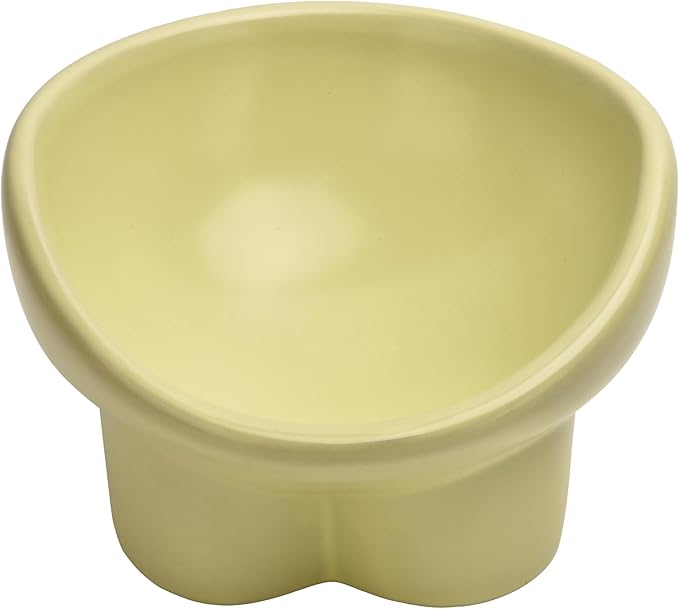 Ceramic Raised Cat Bowl,Elevated Tilted Anti Vomit Cat Bowls for Indoor Cats Whisker Friendly Pet Feeder for Food and Water,Cute Tilted Dish for Flat Faced Cats,Puppies